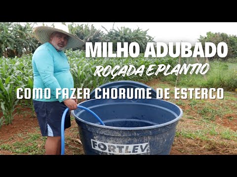 COMO FAZER CHORUME DE ESTERCO, PLANTAR FRUTÍFERA E VERDURAS + ROÇADA COMPLETA