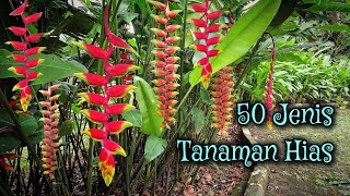 Download lagu GET TO KNOW 50 TYPES OF ORNAMENTAL PLANTS AROUND US, COMPLETE WITH DESCRIPTIONS mp3 Download lagu GET TO KNOW 50 TYPES OF ORNAMENTAL PLANTS AROUND US, COMPLETE WITH DESCRIPTIONS mp3
