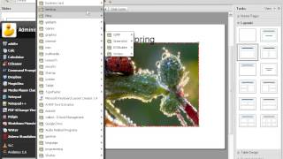 OpenOffice Impress (03): Inserting images