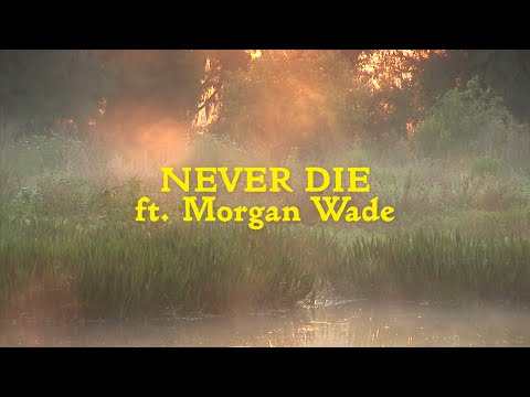 Video thumbnail for Never Die
