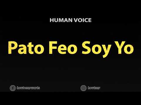 How to Pronounce Pato Feo Soy Yo