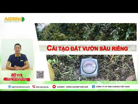 Giải pháp cải tạo đất vườn sầu riêng sau thu hoạch - Cách cải tạo đất hiệu quả