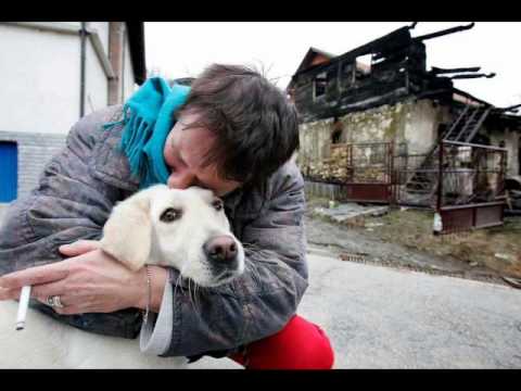 Čovjek i pas - Arsen Dedić