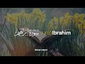 Surah Ibrahim سورة ابراهيم Ismail Ali Nuri إسماعيل النوري Tadabbur Daily