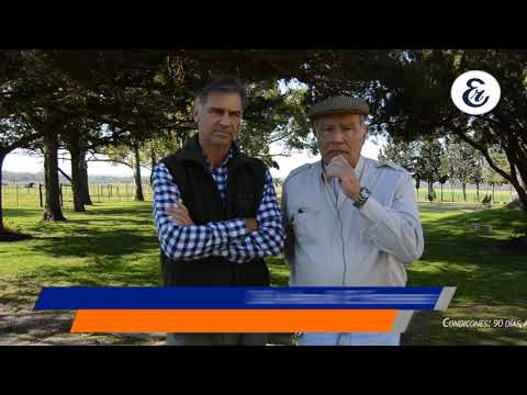 Dr. Arturo Etchevehere y Javier Bejano, invitan al Remate de Reproductores