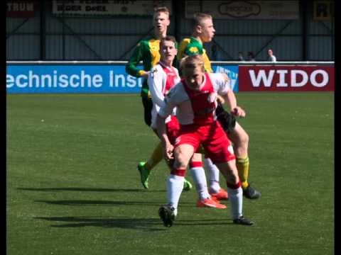 Ijsselmeervogels B1 - Huizen B1