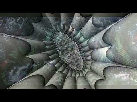 Takan Cavalo Branco - Cura do Rei Ayahuasca