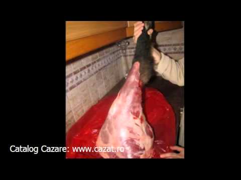 Cazare Opatesti, Valcea - Cazat.ro