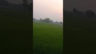 Download lagu thanral katree mp3