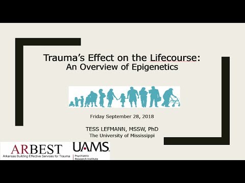 Trauma’s Effect on the Lifecourse: An overview of epigenetics