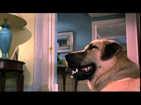 Cats & Dogs (2001) Official Trailer