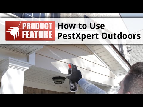 PestXpert Foaming Insect Killer - How to Use Outdoors Video 