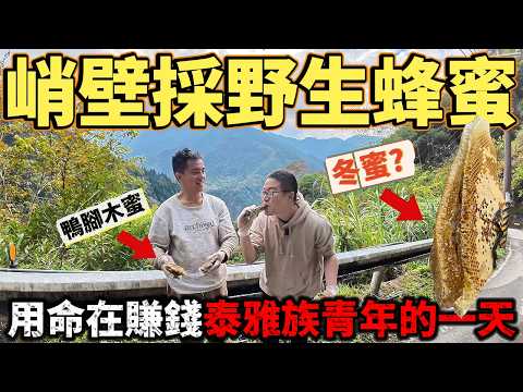 泰雅族勇士 用採野生蜂蜜 養活一家7口 台灣最神秘高危職業 還意外採到 一輩子沒採過的