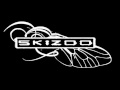Skizoo - 933 Revoluciones 