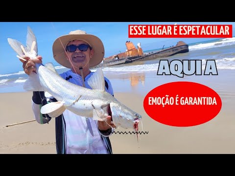 PESCARIA DE PRAIA NO BARCO ENCALHADO EM ITAPORANGA D'AJUDA SERGIPE.