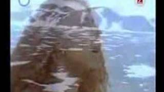 E type   i&#39;m falling