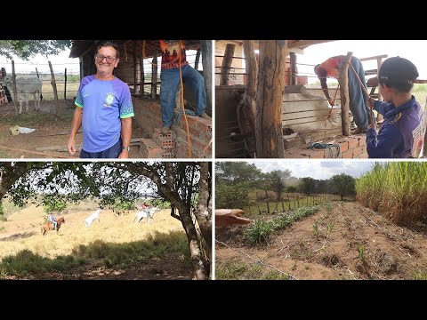 We captured the cattle that were limping and started treatment.