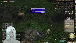 えみーね さんは エオルゼア で遊んでいます。 Elemental DC Gungnir