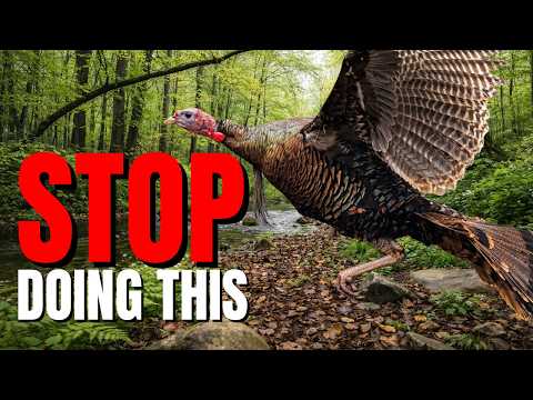 Avoid These 5 Common Mistakes When Using Turkey Template Printables