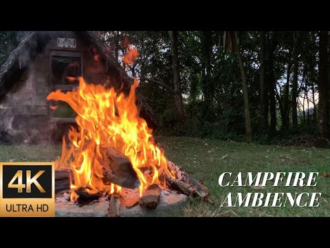 4K Campfire Ambience in a Tanzanian Forest at Sunrise - Relaxing Fire & Nature Sounds