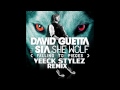 David Guetta feat Beth - She Wolf (VEECK STYLEZ ...