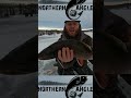 Video Thumbnail for Fishing for Splake Northern Angle #shorts