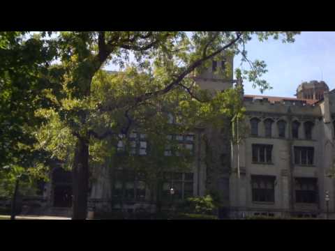 Chicagoland Vampires Series Trailer