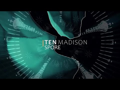 Ten Madison - Spore