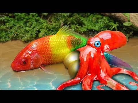 Rainbow Formation Fish | Stop Motion ASMR Experiment | Colorful Koi Fish Carp Underground Cooking