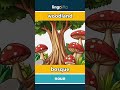 woodland - bosque video thumbnail