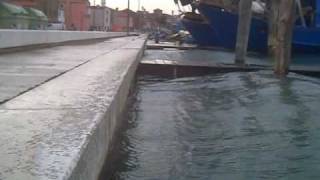 preview picture of video 'Acqua alta a Portosecco - 30 novembre 2009'