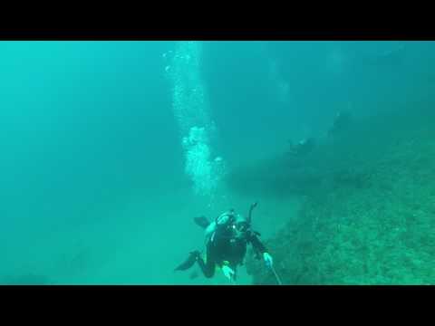 Shark at Tunnels Reef