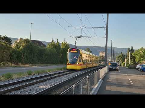 "Tina (L11) (Aesch Dorf) & Tango (L11) (St.Louis Grenze)!"