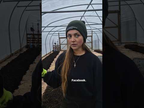 Reaching new milestones 🙌