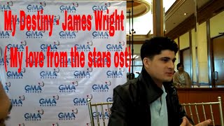 My Destiny - James Wright ( My love from the stars ost)