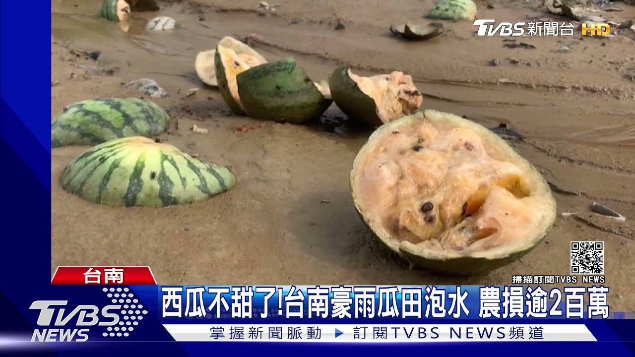 西瓜不甜了!台南豪雨狂襲瓜田泡水 農損逾2百萬
