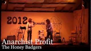 The Honey Badgers - Anarchist Profit (at the Delmarva Folk Festival 2012)