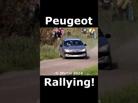 Peugeot 206 Rallying #rally #Peugeot