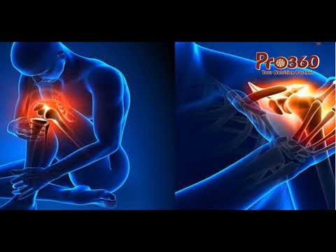 Pro360 Ortho (Veg) Vanilla - Protein Supplement for Bone and Joints