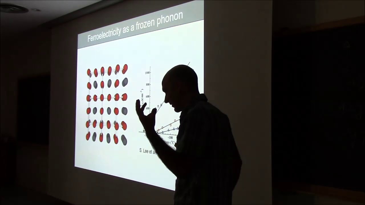 Introduction to ferroelectrics Catalan