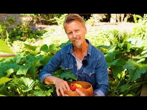 Kökets trädgård del 21 - Odla pumpa - Köket