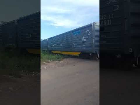 9740 por calilegua jujuy Argentina km casi 1209 ramal c15. Frenanado por equinos en la via.