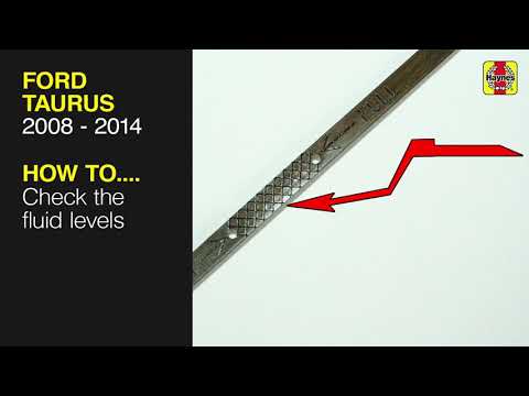 Ford Taurus (1996 thru 2007) - Check the fluid levels