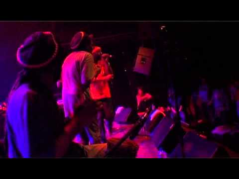 DVD Sound System -   Bush Chemists Feat Culture Freeman & Kenny Knotts