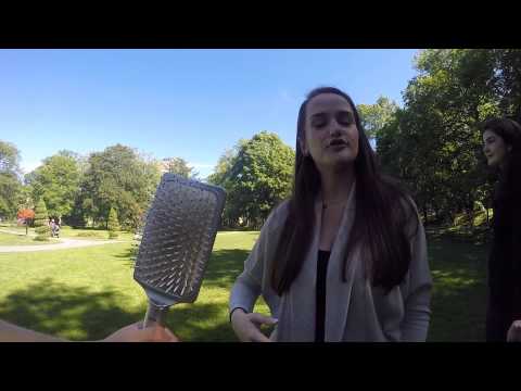 Milk Busters - Natrel Lactose Free Milk