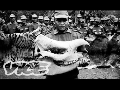 亞洲非法動物交易紀錄片（Documenting Asia's Illegal Animal Trade）