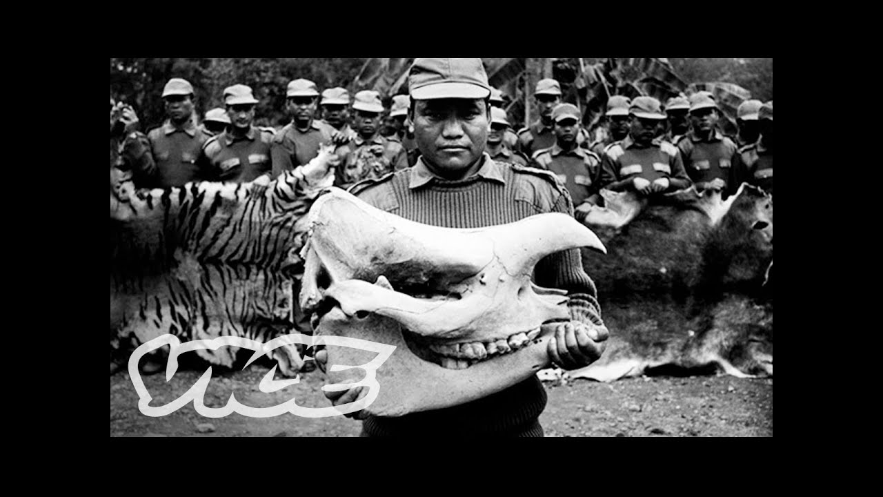 Asia’s Illegal Animal Trade