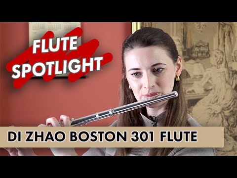 Flute Spotlight: Di Zhao Boston DZ 301 Step-Up Flute