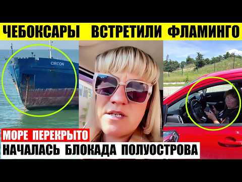 Чебоксары встретили фламинго. Море перекрыто. Началась блокада полуострова.