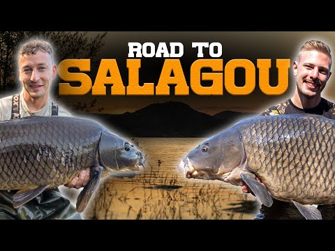 Karpfenangeln in Frankreich: Road to Salagou! 🇫🇷